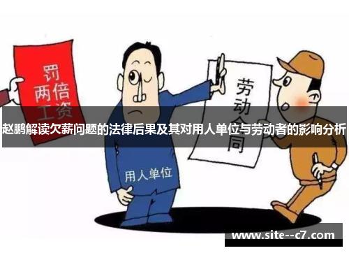 赵鹏解读欠薪问题的法律后果及其对用人单位与劳动者的影响分析