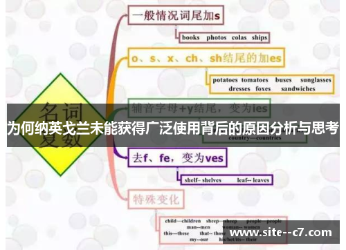 为何纳英戈兰未能获得广泛使用背后的原因分析与思考