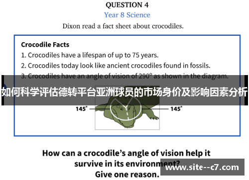 如何科学评估德转平台亚洲球员的市场身价及影响因素分析
