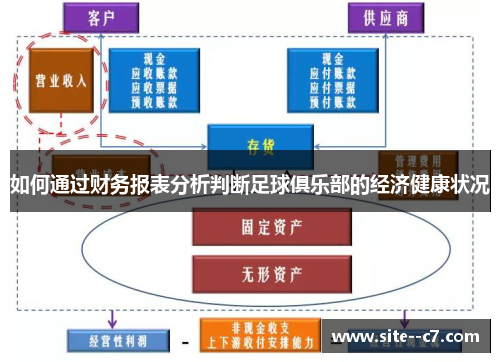 如何通过财务报表分析判断足球俱乐部的经济健康状况