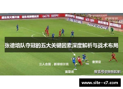 张德培队夺冠的五大关键因素深度解析与战术布局