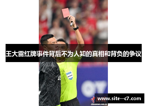 王大雷红牌事件背后不为人知的真相和背负的争议