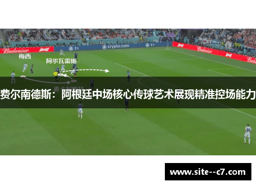 费尔南德斯：阿根廷中场核心传球艺术展现精准控场能力