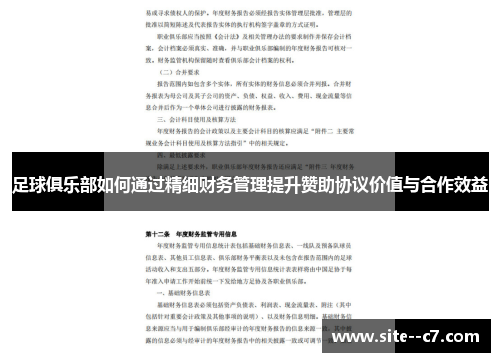 足球俱乐部如何通过精细财务管理提升赞助协议价值与合作效益