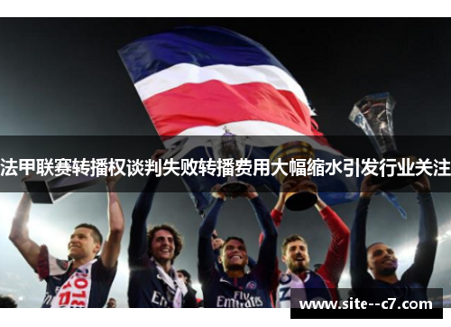法甲联赛转播权谈判失败转播费用大幅缩水引发行业关注