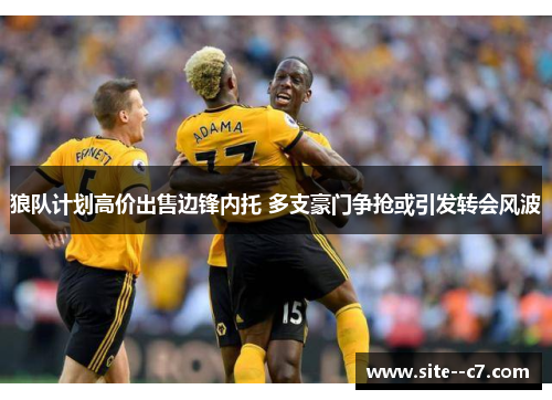狼队计划高价出售边锋内托 多支豪门争抢或引发转会风波 狼队计划高价出售边锋内托 多支豪门争抢或引发转会风波