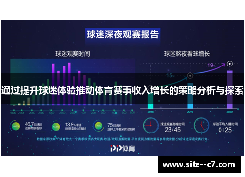 通过提升球迷体验推动体育赛事收入增长的策略分析与探索